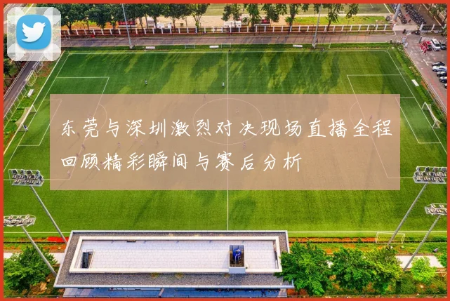 东莞与深圳激烈对决现场直播全程回顾精彩瞬间与赛后分析
