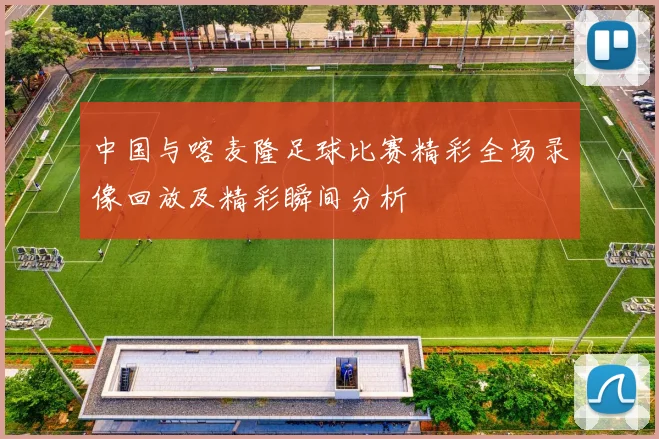 中国与喀麦隆足球比赛精彩全场录像回放及精彩瞬间分析