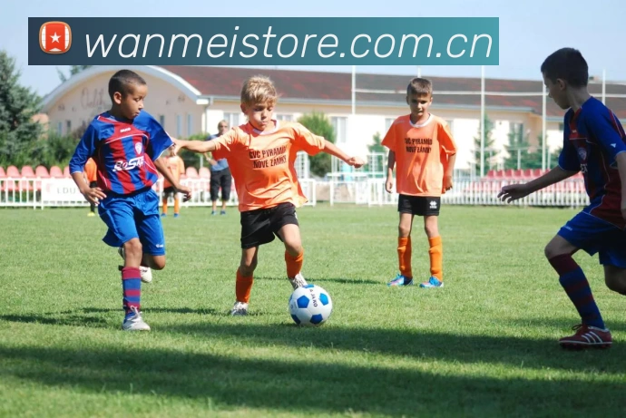 多媒体互动体验